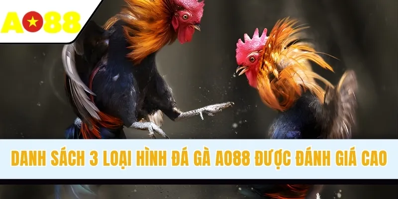 Danh sách 3 loại hình đá gà AO88 được đánh giá cao