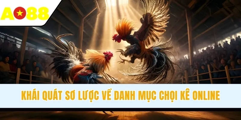 Khái quát sơ lược về danh mục chọi kê online