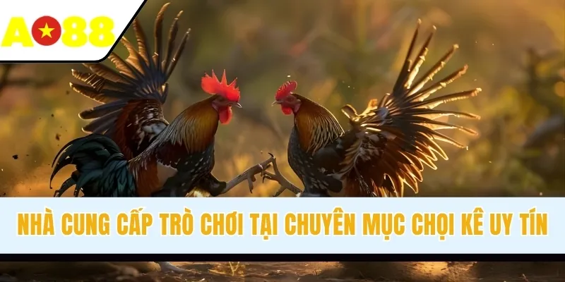 Nhà cung cấp trò chơi tại chuyên mục chọi kê uy tín