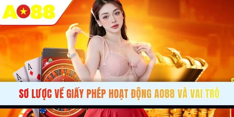 Sơ lược về giấy phép hoạt động và vai trò